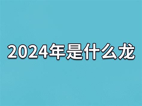 2024 年是什么年